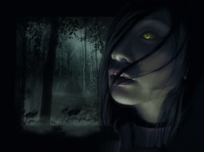 ��������, ���������